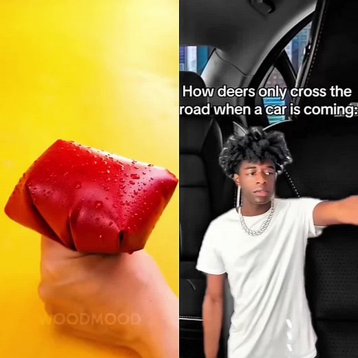 Understanding Deer Behavior: Stomping Explained