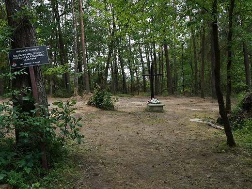 Mass grave, remains of 8,000 Nazi war victims found in Poland