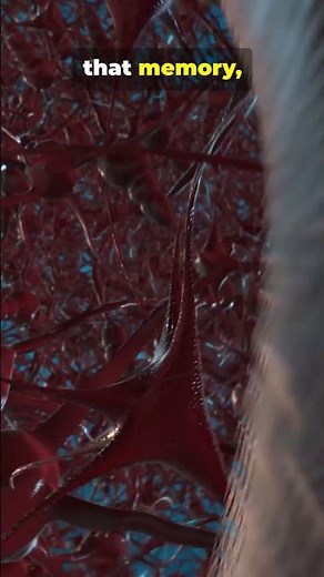 Neurons in Action 🧠