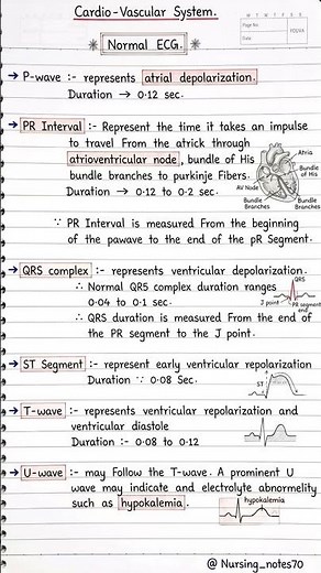 Normal ECG Explained ❤️ | P Wave, PR Interval, QRS, ST Segment, T Wave & U Wave | Nursing Notes