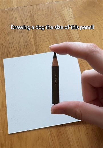 Drawing a Colourful Poodle Cross with Pencils