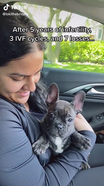 Our little family 🐶👩🏾👨🏾‍🦱 #frenchbulldog #frenchiesoftiktok #frenchie #frenchiepuppy #fyp #ivf #infertility #fypシ