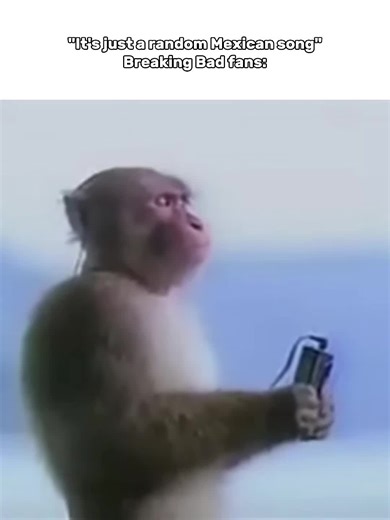 Breaking Bad Memes: The Ultimate Collection