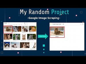 Python Google Image Web Scraping