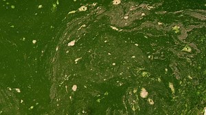 Pond Water vs. Water Filters A Comparative Analysis