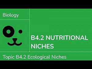 B4.2 Nutritional Niches [IB Biology SL/HL]