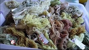 Dying Yarn with Invasive Species