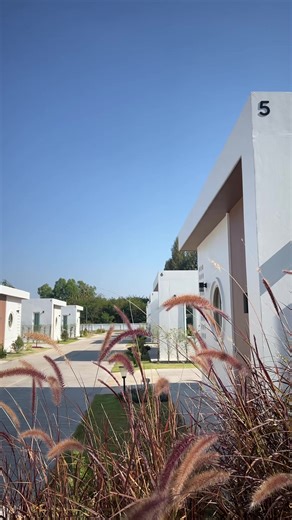 😘❤️ วันนี้ราคาพิเศษ 590 บาท/คืน 🛖🍃ที่พักของเราเดินทางสะดวกมากกกก ใกล้ร้านหมูกระทะ,คาเฟ่,ร้านอาหาร,7-11 ห่างจากอุทยานแห่งชาติภูเวียง 16 กม. ค่ะ 🛖🪻 23,24,30,31 มกราคม ห้องพักเต็มแล้วนะคะ 𝙋𝙞𝙩𝙘𝙝𝙖𝙮𝙖 𝙫𝙞𝙡𝙡𝙚 𝙧𝙚𝙨𝙤𝙧𝙩 @ 𝙋𝙝𝙪𝙬𝙞𝙖𝙣𝙜 𝙆𝙝𝙤𝙣𝙠𝙚𝙖𝙣 🌿🛖🍂 ♫•*¨*.¸¸♪ ♡🎁 🎄🛖🎄🎁:･。. ﾟ*:ﾟ ติดต่อห้องพัก ☎ ☏ 080-8317399 ________________________________ #พิชญะวิลล์รีสอร์ท #ที่พักภูเวียง#อุทยานแห่งชาติภูเวียง #อุทยานแห่งชาติภูเวียง #ผาชมตะวันภูเวียง