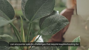 Aeroponic Gardening Troubleshooting