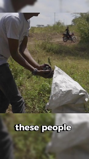 Ingenious Solutions for Combating Desertification