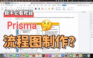Meta分析之Prisma的流程图制作-Doreen39-Prisma-哔哩哔哩视频