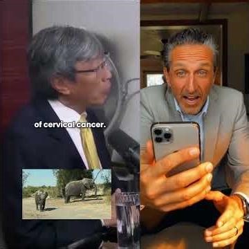 ✅The p53 Gene EXPLAINED — Your Body’s #1 Cancer Defender🌍💸 Text 👉1LIFE👈 to 910-447-6508 for details.