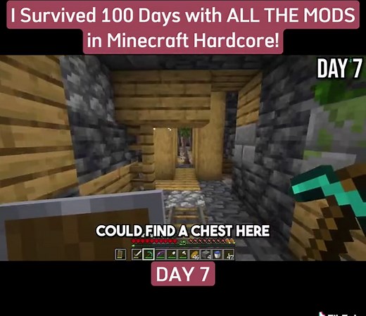 Youtube: Suev - I Survived 100 Days with ALL THE MODS in Minecraft Hardcore! | DAY 7