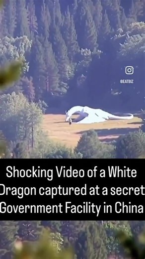 Science And Ghosts on Instagram: "In a shocking video that was leaked by a Chinese news outlet, a white dragon can be seen kept in captivity. There are many legends of dragons in the far east, these mythical creatures are said to be Guardians of the land. For many centuries these beast were thought to be extinct but over the past few years evidence is emerging from all over the world that proves these creatures are real. In this new video that was leaked by a popular media outlet from China we s