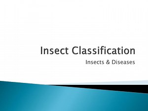 Insect Classification - SlideServe