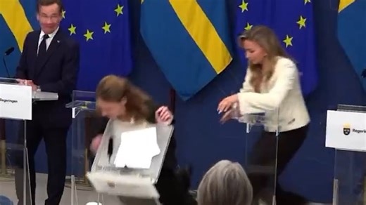 Moment Sweden's Health Minister collapses at press conference