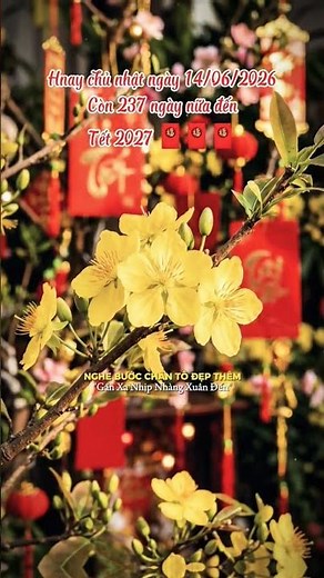 237 days left until Lunar New Year 2027 🧧🏮🧧🏮🏮🧧🧧🧧🏮 #happytet #trending #tetnewstoday