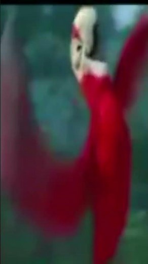 baccha log entertainment#123g$325