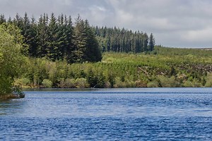 Betcio - Güncel Giriş | Betcio Mobil Erişim | 2025 Link