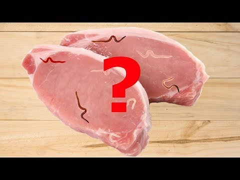 (NEW) What really happens when you pour coke on raw pork - Worms/Maggots? (unedited) 🐷🐖🥩