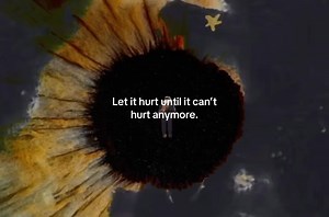 9.5K views · 259 reactions | Brian Thompson on Reels | Facebook