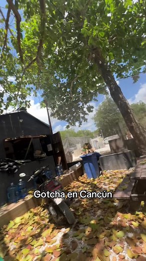 Viajero Maya on TikTok