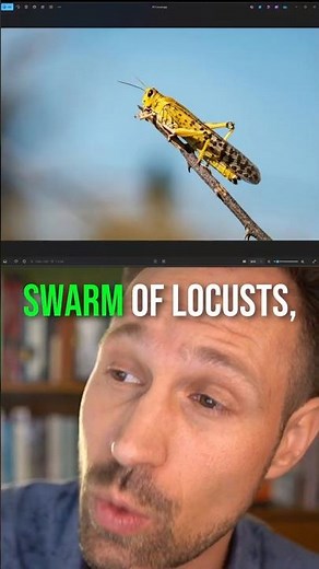 50 Billion Locusts?! 😱 The CRAZY Scale of God’s “Army” in Joel