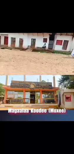 2.3K views · 128 reactions | Magaalaa Koodee (Moxee) | Wama Hagalo ProsperityParty | Facebook