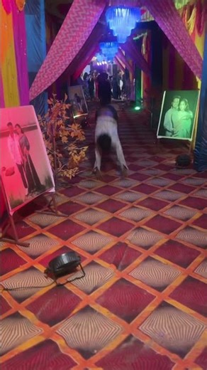 B Boying Marraged party 🎉 💀✅ #shortsfeed #viral #youtube #stunt #flip #love #backflip #quickflip