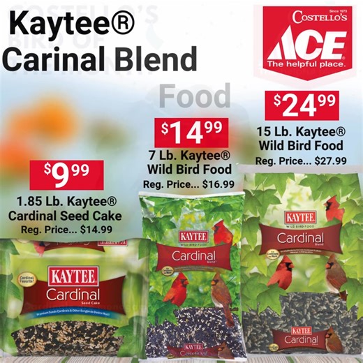 ❤️🐦 October Bird of the Month: The Northern Cardinal! 🐦❤️ Did you know? Cardinals are monogamous during breeding season, forming pair bonds that can last for years! 💑 Together, both parents help raise their young — talk about teamwork in the bird world! Want to keep these charming red birds flocking to your yard all season long? 🍂 🎯 Stock up and save with our Cardinal-friendly specials: 🛒 Kaytee® Cardinal Blend Wild Bird Food 💸 $9.99 – 1.85 lb. Cardinal Seed Cake 💸 $14.99 – 7 lb. Cardina