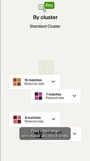 Organize your DNA matches with AncestryProgenealogist Angie Bush #ancestry #shorts