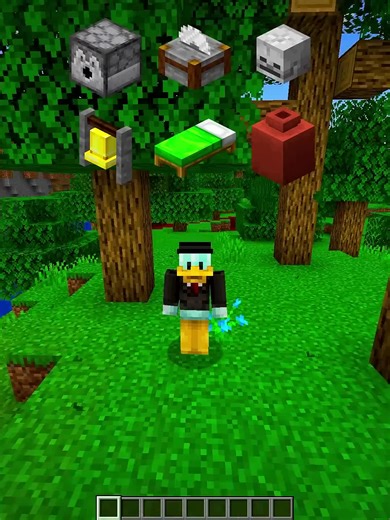 Minecraft Will I Fit? 💀 #minecraft #fyp #usafyp #unitedstates #foryoupage