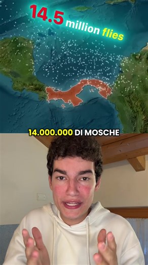 Cosa Pensare dell'Assurdo? Curiosità sulla Storia