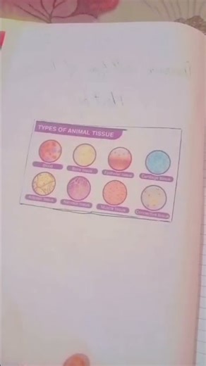 9th class biology project