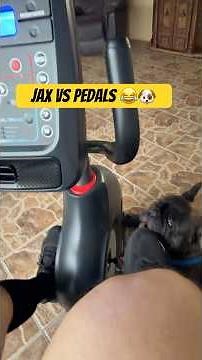 Testing My New Schwinn 270 Recumbent Bike (Until Jax Interrupted!) 🐕🚴‍♂️