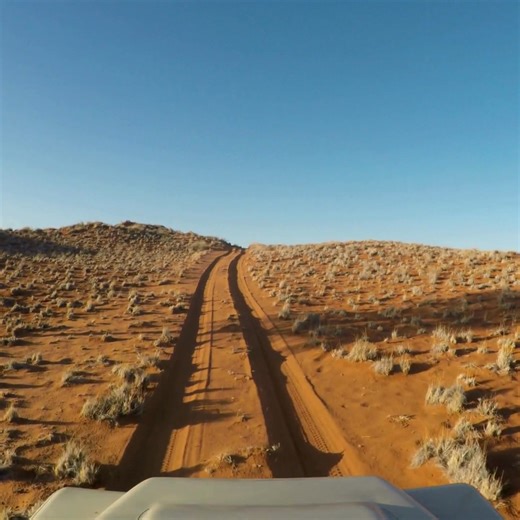 Introducing Drive South Africa’s 4x4 Planning Service!🚐✨ Planning your perfect Southern African self-drive holiday can be daunting, especially if you’re not accustomed to driving a 4×4. Drive South Africa 4×4 Planning Service is the all-in-one guide to experiencing all the culture, natural beauty, and wildlife that Southern Africa offers. Simply book a free 30-minute consultation with one of our 4×4 specialists, and we’ll advise you on 4×4 collection points, route planning, and optional extras 