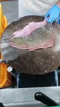 Stingray Cutting Tutorial | Clean & Easy Method #shortsvideo #shortsviral #shorts #viral