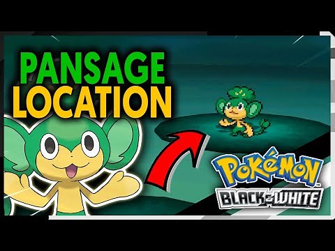 WHERE TO FIND PANSAGE ON POKEMON BLACK AND WHITE