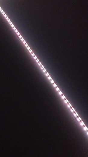 Stunning LED Lights Video Background for Your Content