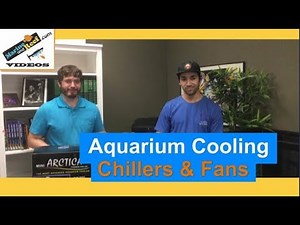 Aquarium Cooling Overview from MarineAndReef.com