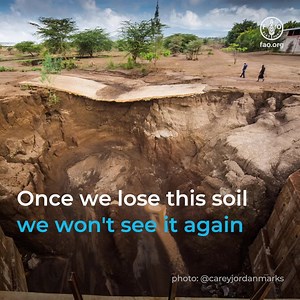 Once we lose soil we won't see it again in our lifetime. We need to #StopSoilErosion to secure our future of food. | Food and Agriculture Organization of the United Nations (FAO)