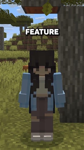 New Minimaps and Chunk Borders update for Lunar Client!