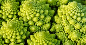 23 of the Strangest Foods From Around the World—From Rambutan to Soursop