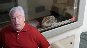 297K views · 5.7K reactions | Os lagartos-monitores atacaram o ex-soldado que foi encontrado sem vida alguns dias depois. A cena do crime impressionou a polícia, os vizinhos e seus colegas de trabalho, o que incentivou vários donos de lagartos a começarem a liberar seus espécimes 年 #DragõesDeKomodoSobrevivendoAoAtaque | Discovery Brasil | Facebook