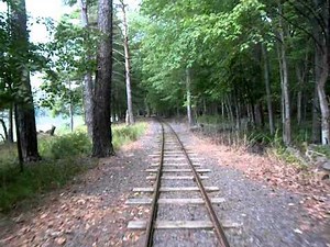 Riding the Turtle Back Zoo Train Backwards..