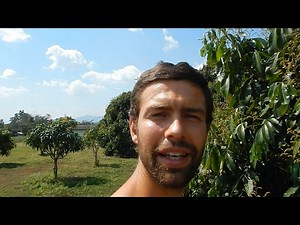 Pooping In The Garden (Vegan Thailand)