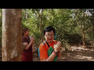 เที่ยวสกลนคร บึงกาฬ EP8 ทางขึ้นถ้ำนาคา หินดอกเห็ดระยะทางจากจุดเริ่มต้นไปถึงถ้ำนาคาประมาณ 2 กม