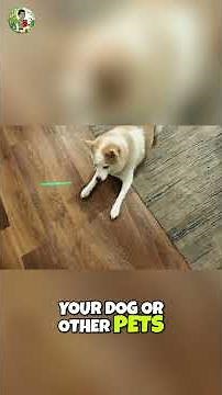 Olight Ark Pro: The Ultimate Flashlight and Plant Pest Detector