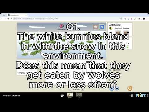 PhET Natural Selection: Population Dynamics and Competition in Ecosystems