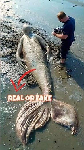 Mermaid Caught on Camera? Real or Fake? | Mermaid Spotted? Truth Behind the Myth! #mermaid #viral
